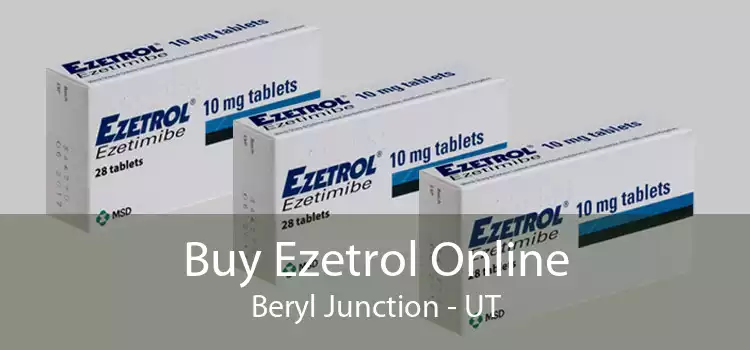 Buy Ezetrol Online Beryl Junction - UT