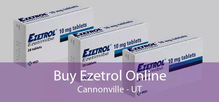 Buy Ezetrol Online Cannonville - UT
