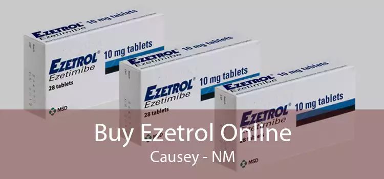 Buy Ezetrol Online Causey - NM